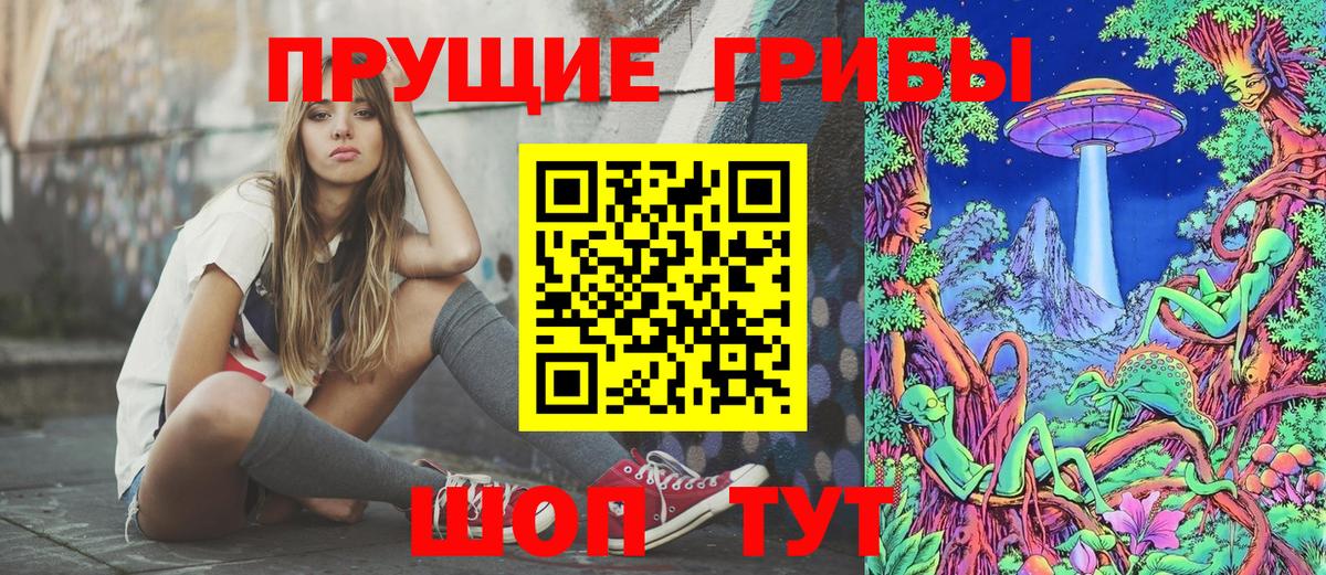 где купить наркоту  Псилоцибиновые грибы Psilocybine cubensis  Вход с VPN  Клинцы 